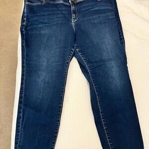 Lane Bryant Dark Blue Skinny Jeans